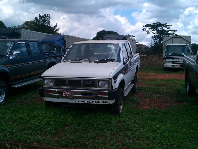 By car classic datsun nissan sale used #9