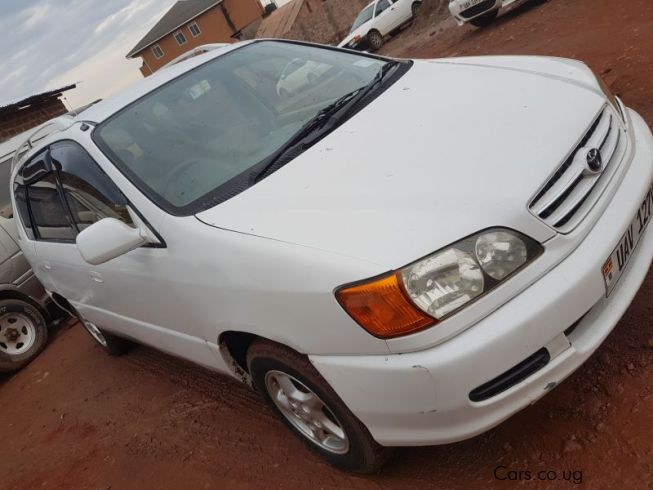 Used Toyota Ipsum 2000 2000 Ipsum 2000 for sale