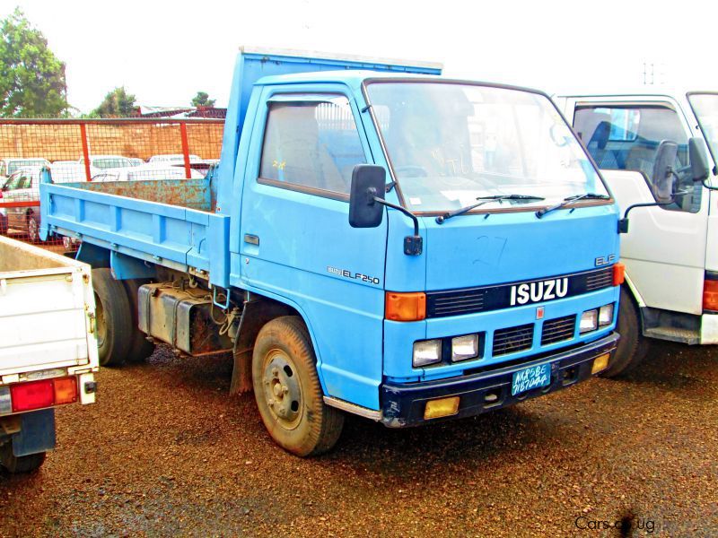 Isuzu Elf 250 in Uganda