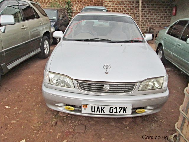 Toyota Corolla in Uganda
