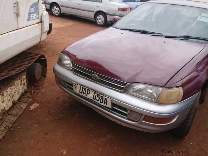Toyota CORONA in Uganda