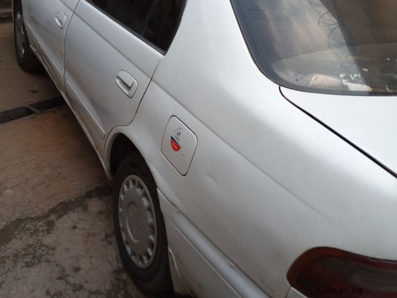 Toyota Corona ST 190 in Uganda