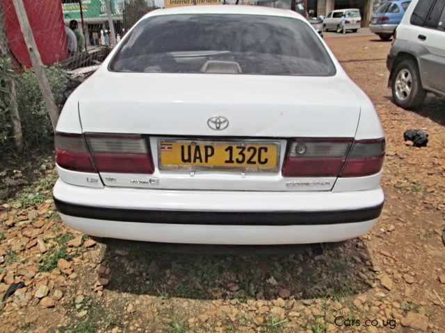 Toyota Corona in Uganda