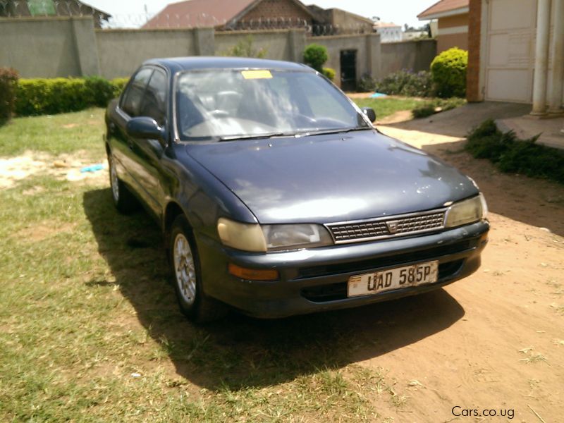 Toyota Corolla in Uganda