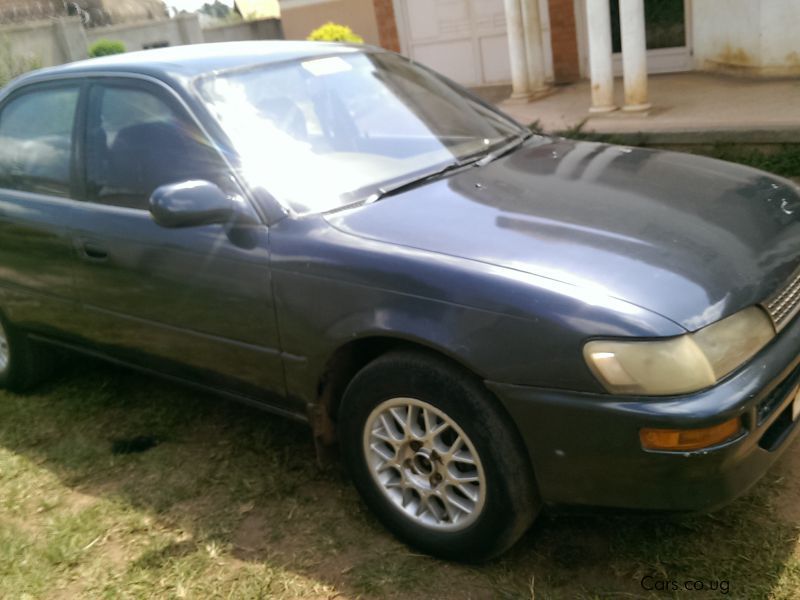 Toyota Corolla in Uganda