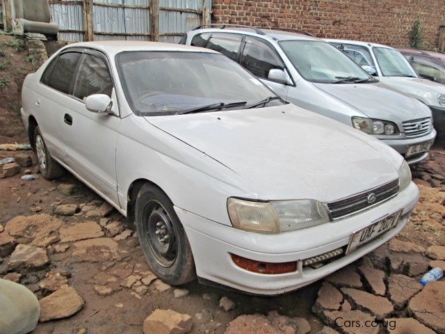 Toyota Corona in Uganda