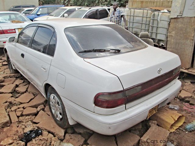 Toyota Corona in Uganda