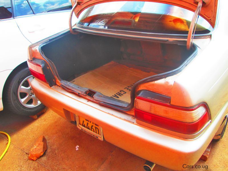 Toyota Corona in Uganda