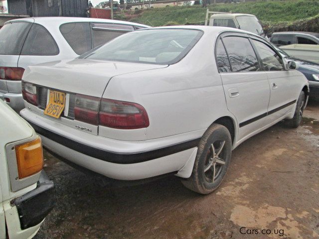 Toyota Corona in Uganda