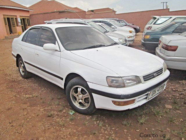 Toyota Corona in Uganda