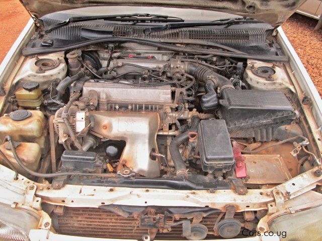 Toyota Corona in Uganda