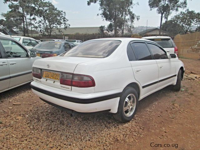 Toyota Corona in Uganda