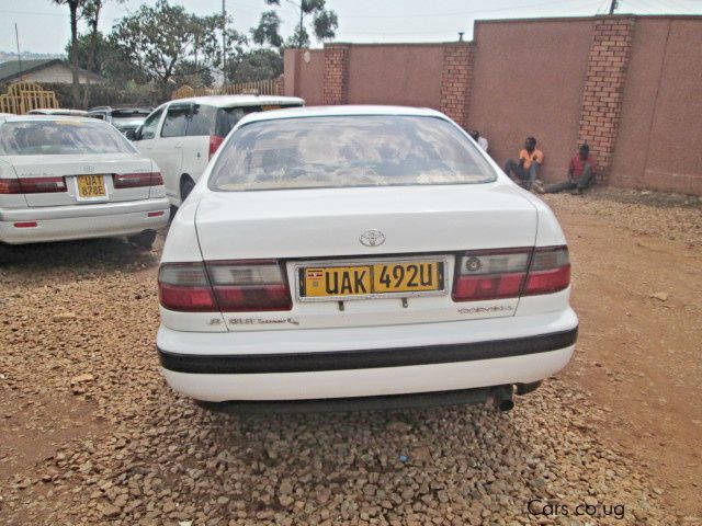 Toyota Corona in Uganda