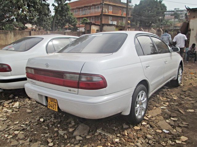 Toyota Corona in Uganda