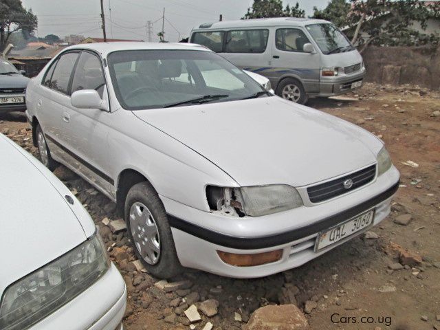 Toyota Corona in Uganda