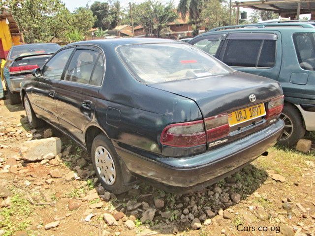 Toyota Corona in Uganda