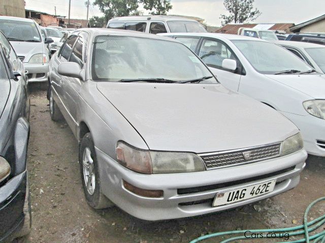 Toyota Corona in Uganda