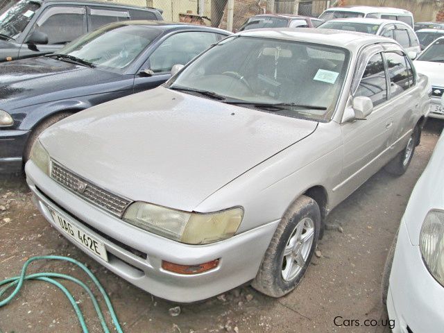 Toyota Corona in Uganda