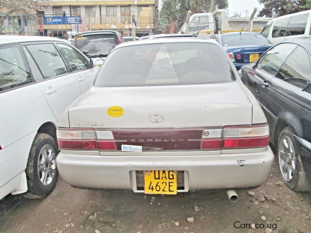 Toyota Corona in Uganda