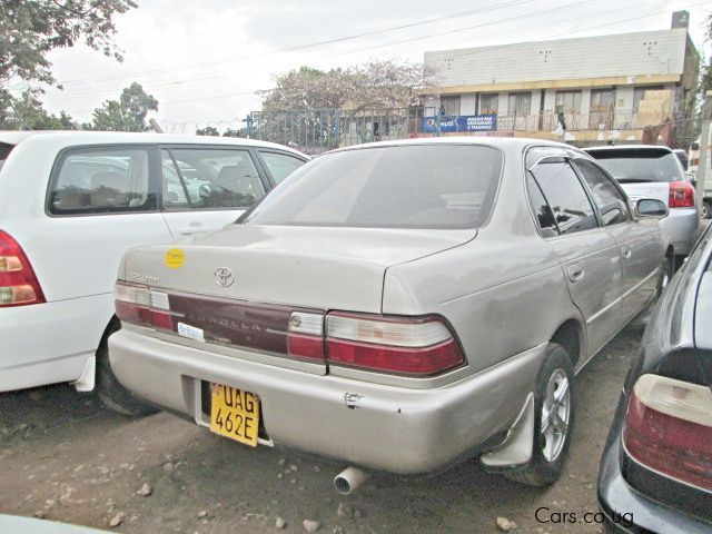 Toyota Corona in Uganda