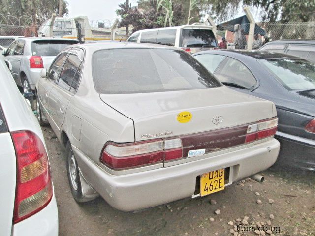 Toyota Corona in Uganda