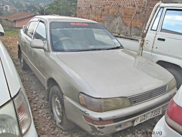 Toyota Corona in Uganda