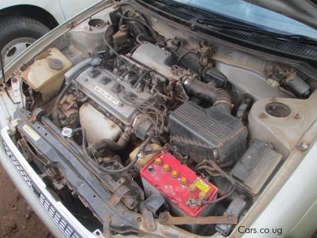 Toyota Corona in Uganda