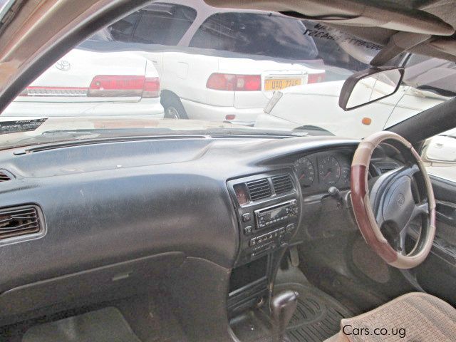 Toyota Corona in Uganda