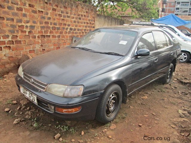 Toyota Corona in Uganda