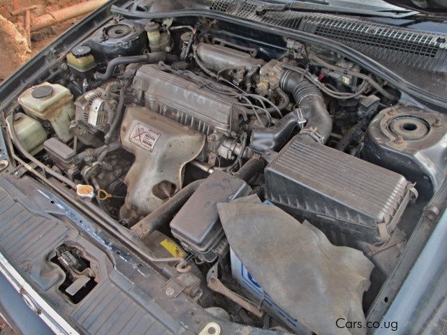 Toyota Corona in Uganda