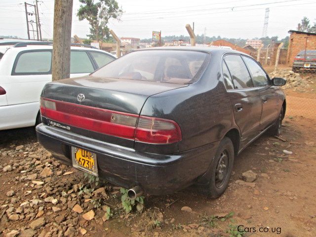 Toyota Corona in Uganda