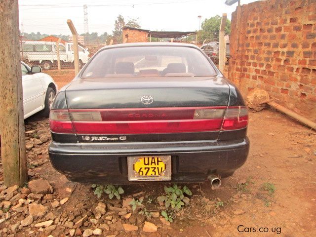 Toyota Corona in Uganda