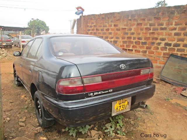 Toyota Corona in Uganda