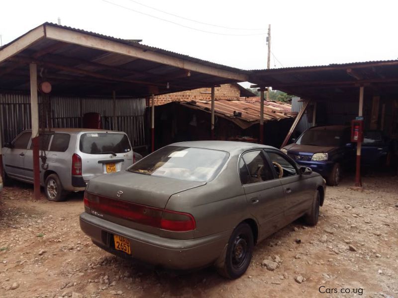 Toyota Corona in Uganda