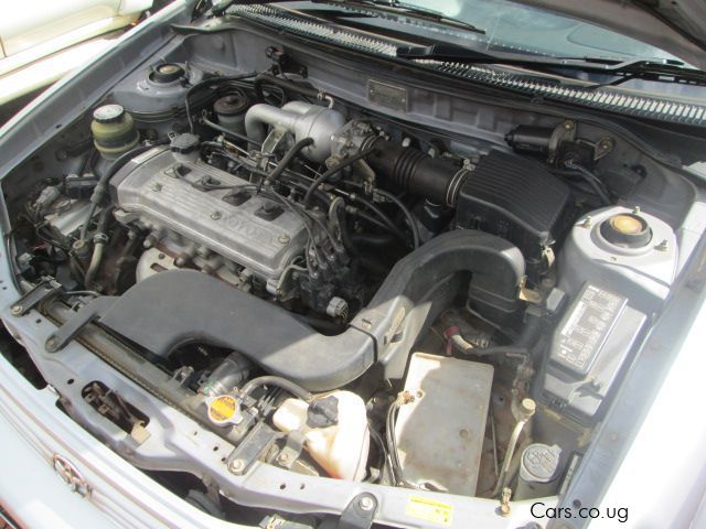 Toyota Corsa in Uganda