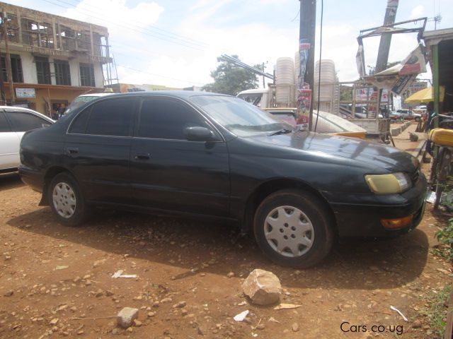 Toyota Corona in Uganda