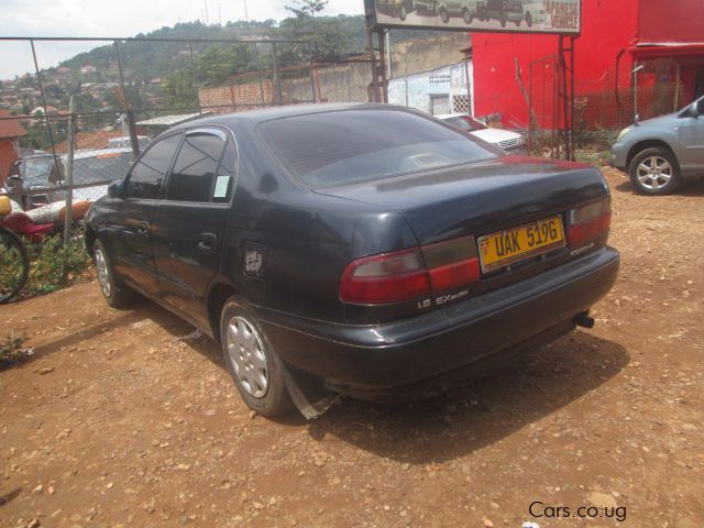 Toyota Corona in Uganda