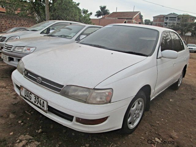 Toyota Corona in Uganda