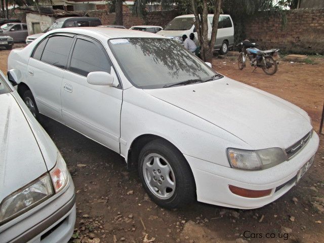 Toyota Corona in Uganda