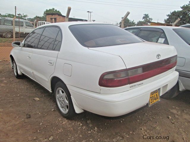 Toyota Corona in Uganda