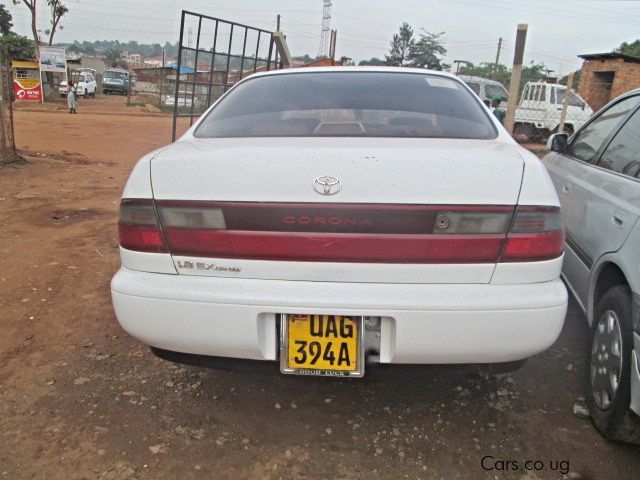 Toyota Corona in Uganda