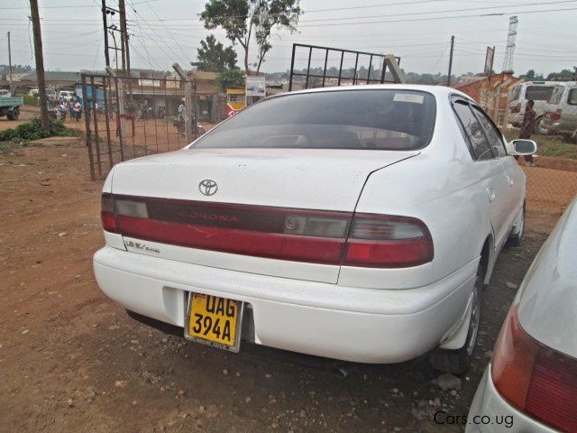 Toyota Corona in Uganda