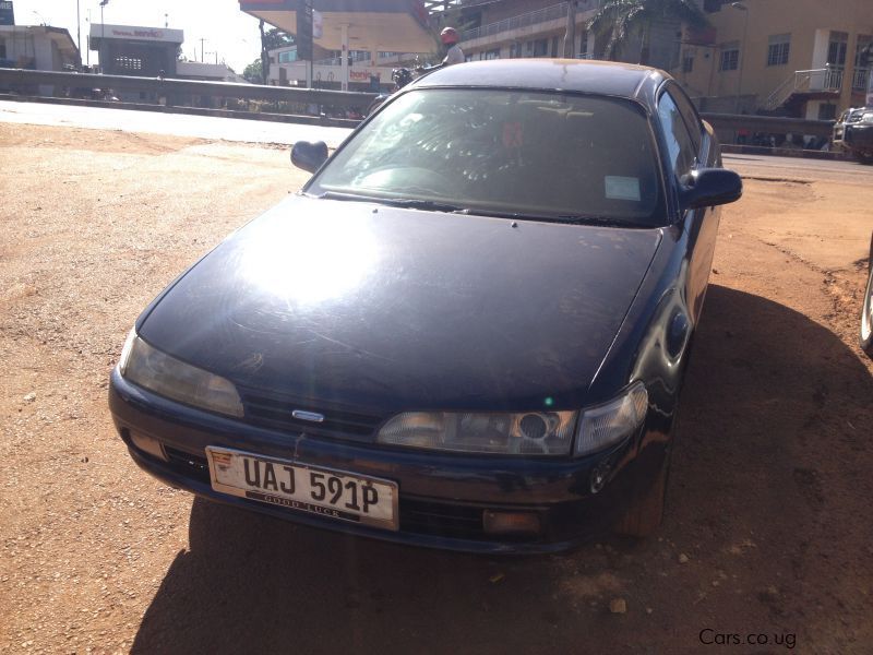 Toyota Marino in Uganda