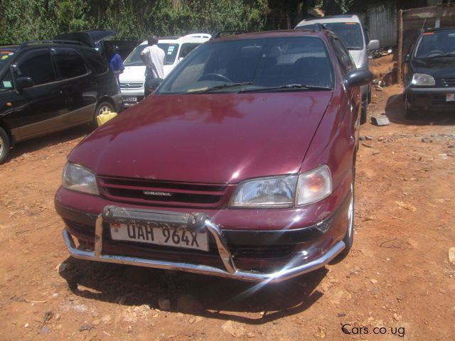 Toyota Caldina in Uganda