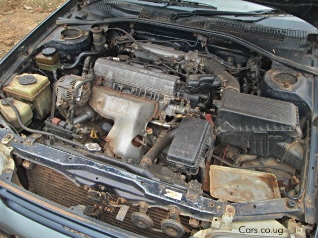 Toyota Caldina in Uganda