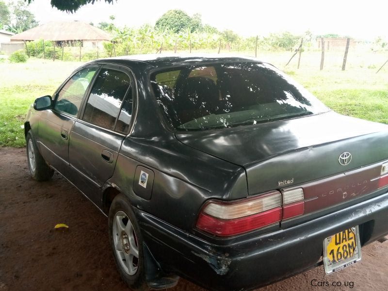 Toyota Corolla UAE in Uganda