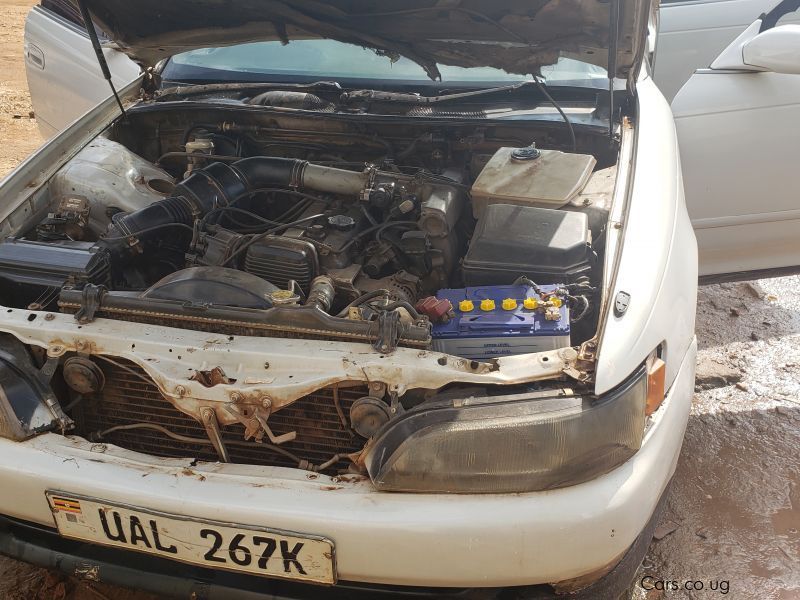 Toyota mark ii grande in Uganda