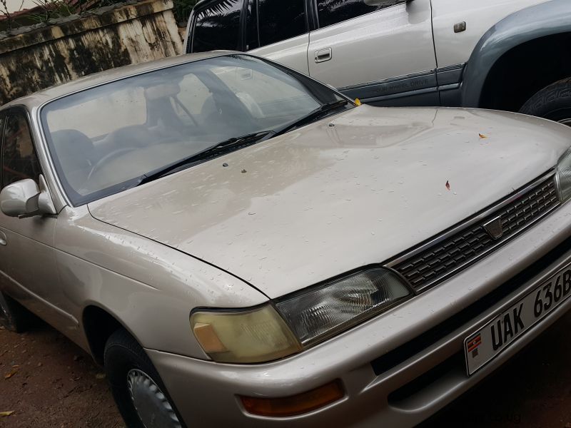 Toyota Corolla  in Uganda