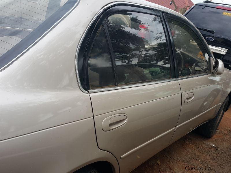 Toyota Corolla  in Uganda