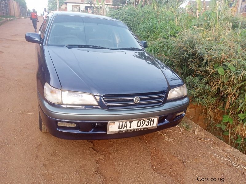 Toyota PREMIO in Uganda